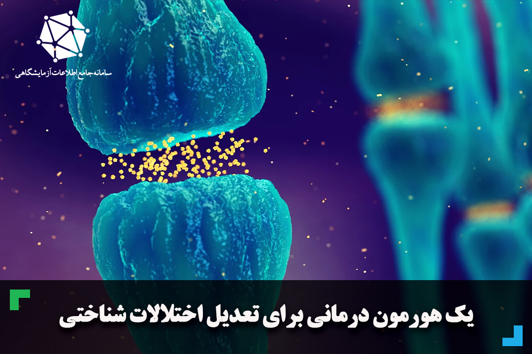 یک هورمون درمانی برای تعدیل اختلالات شناختی