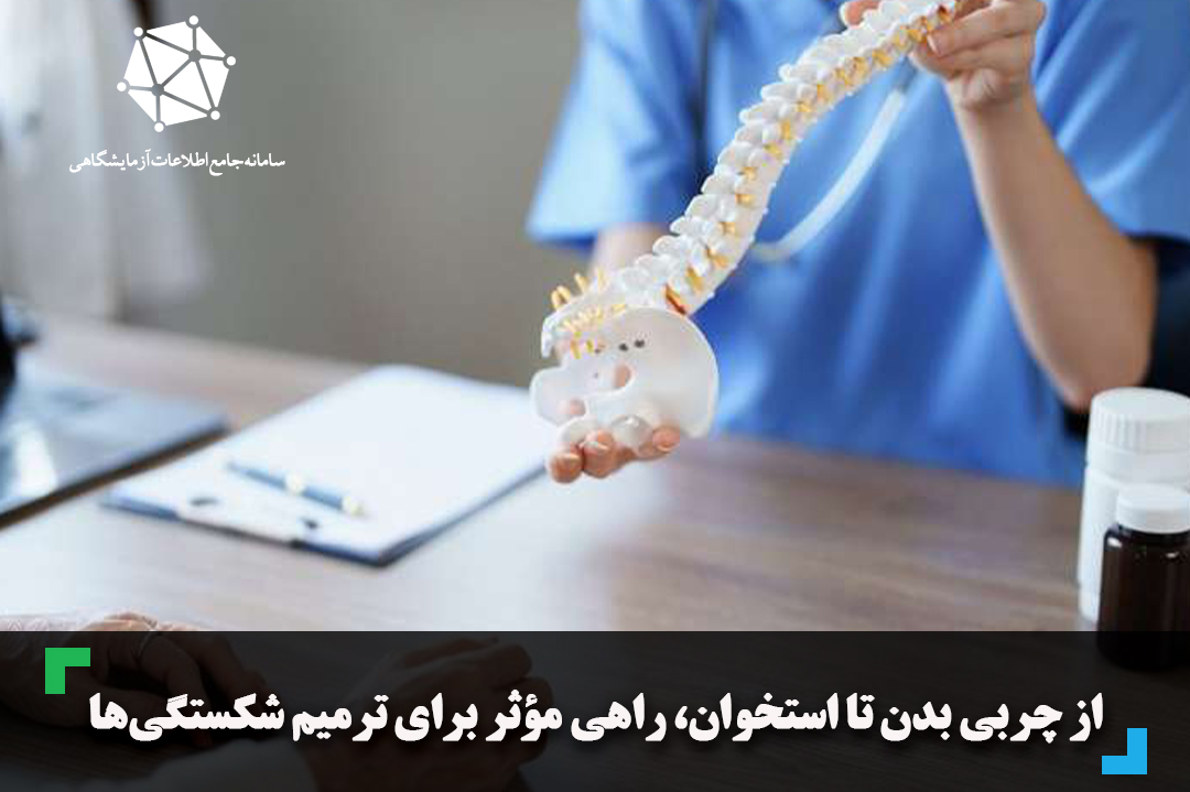 از چربی بدن تا استخوان، راهی مؤثر برای ترمیم شکستگی‌ها