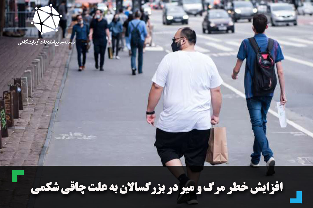 افزایش خطر مرگ و میر در بزرگسالان به علت چاقی شکمی