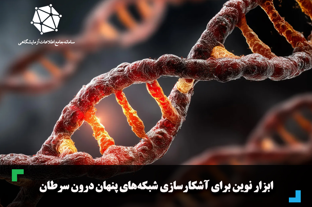 ابزار نوین برای آشکارسازی شبکه‌های پنهان درون سرطان