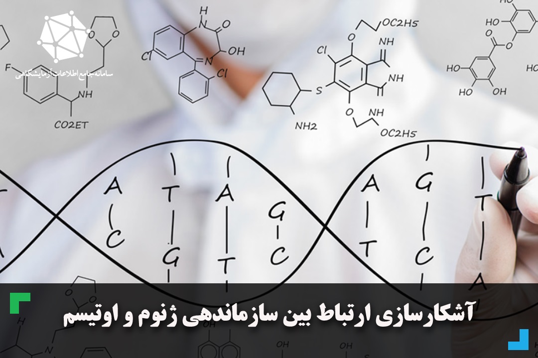 آشکارسازی ارتباط بین سازماندهی ژنوم و اوتیسم