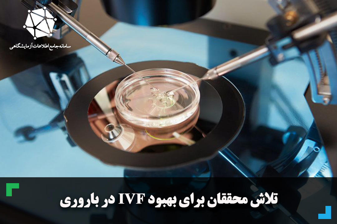 تلاش محققان برای بهبود IVF در باروری