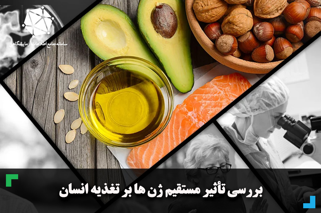 بررسی تأثیر مستقیم ژن ها بر تغذیه انسان