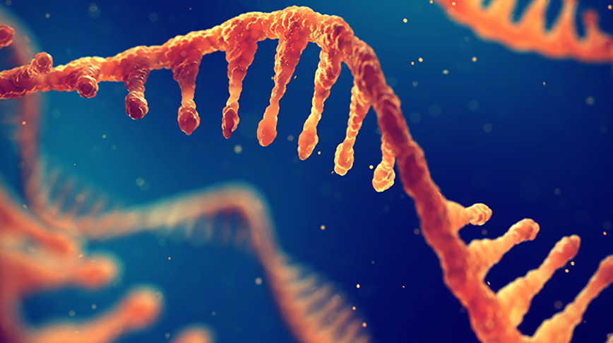  درمان سرطان با microRNA ها