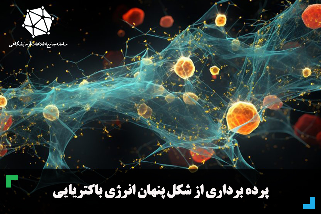 پرده برداری از شکل پنهان انرژی باکتریایی