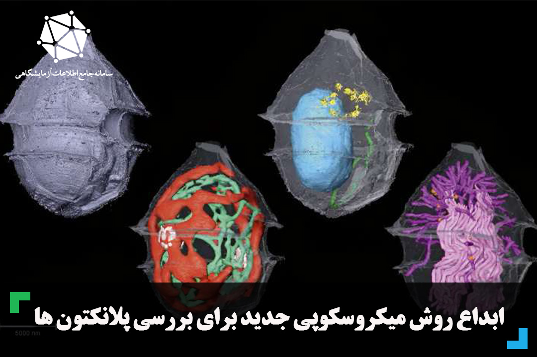 ابداع روش میکروسکوپی جدید برای بررسی پلانکتون ها