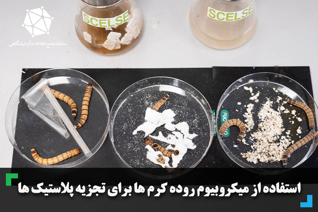 استفاده از میکروبیوم روده کرم ها برای تجزیه پلاستیک ها