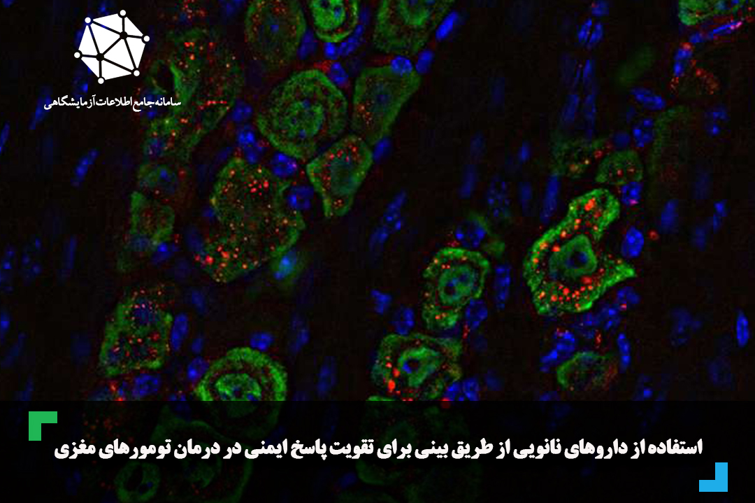 Individual Treatment