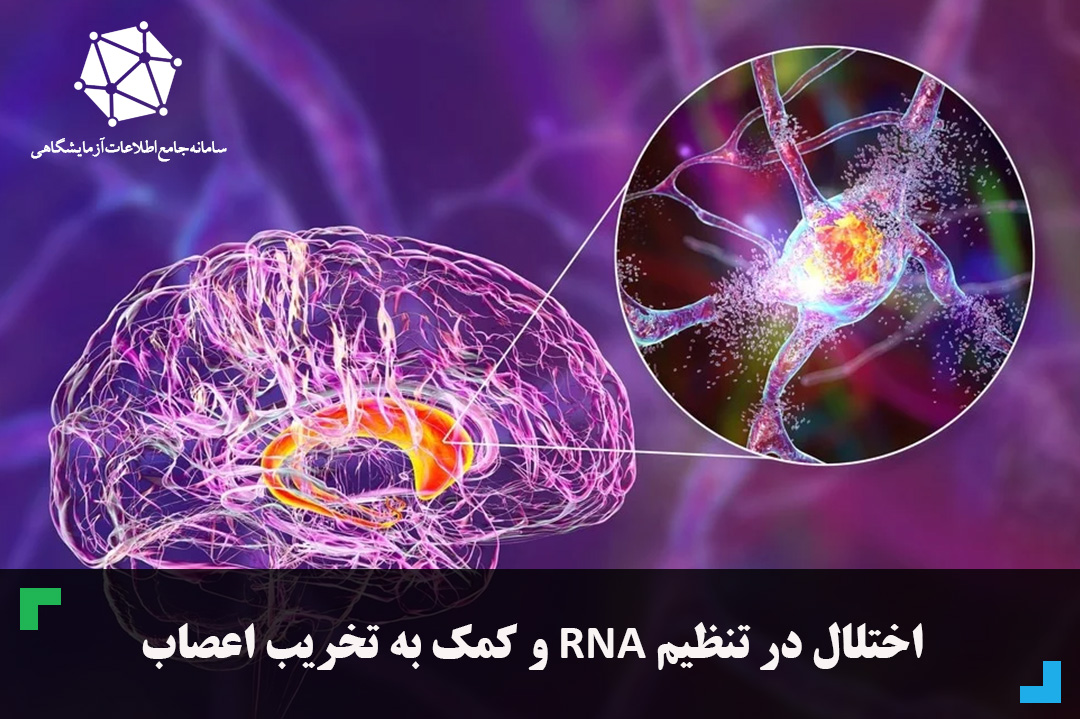 اختلال در تنظیم RNA  و کمک به تخریب اعصاب