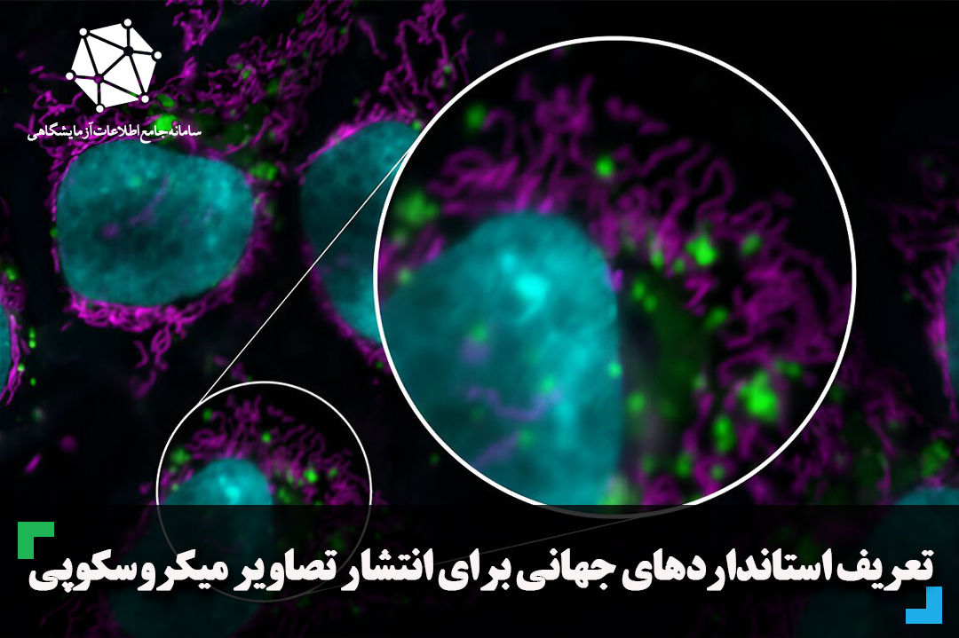 تعریف استانداردهای جهانی برای انتشار تصاویر میکروسکوپی