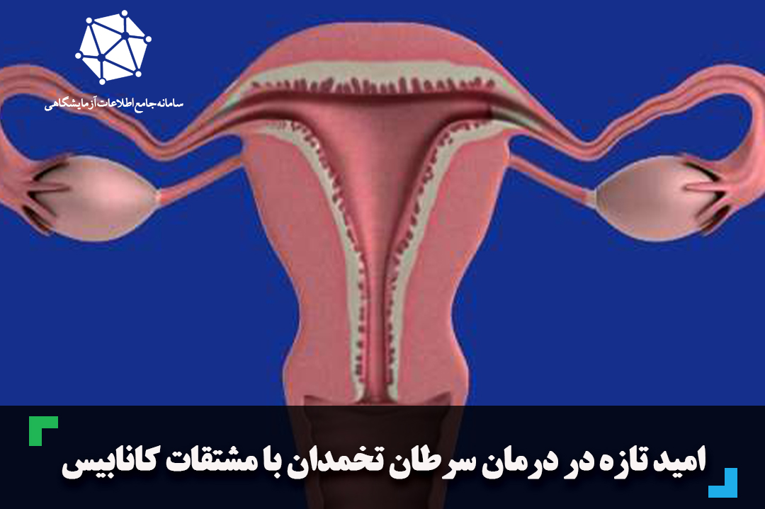 امید تازه در درمان سرطان تخمدان با مشتقات کانابیس