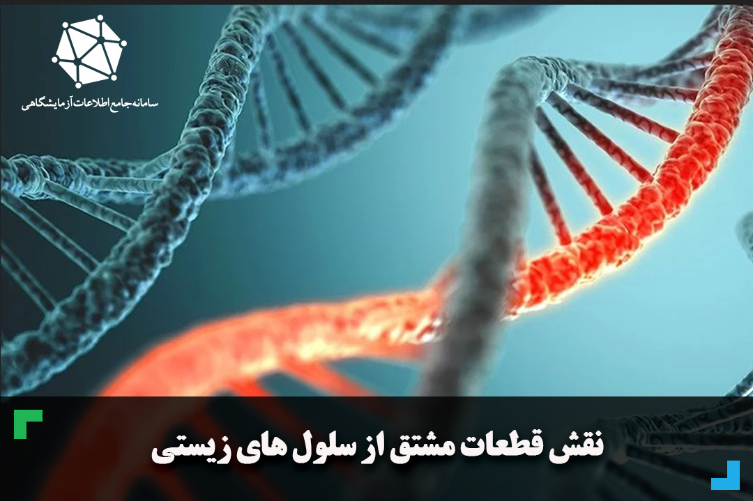 نقش قطعات مشتق از tRNA در تومورهای بدخیم