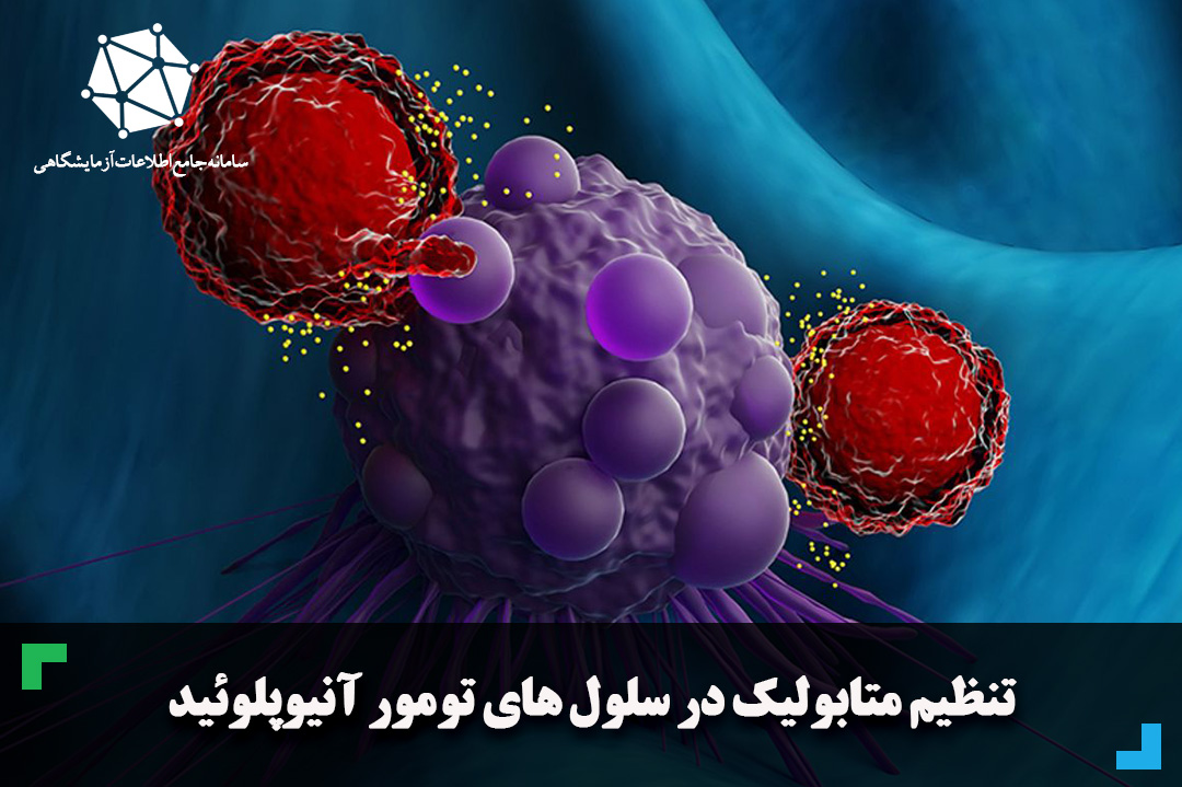 تنظیم متابولیک در سلول های تومور آنیوپلوئید