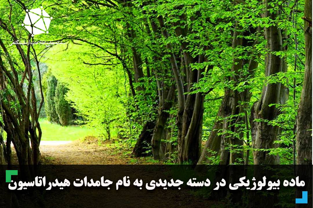 ماده بیولوژیکی در دسته جدیدی به نام جامدات هیدراتاسیون